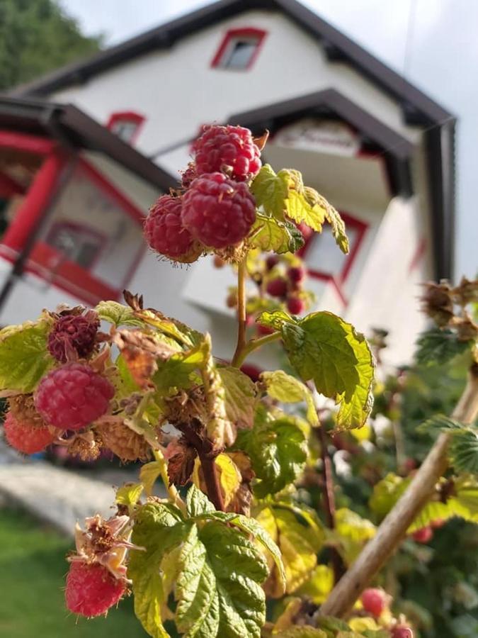 Villa Jelena Mavrovo Esterno foto